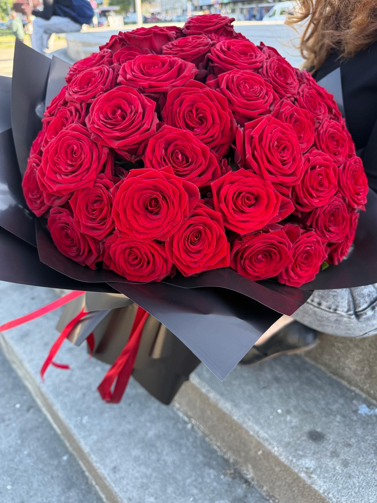 Holländische Red Naomi 45