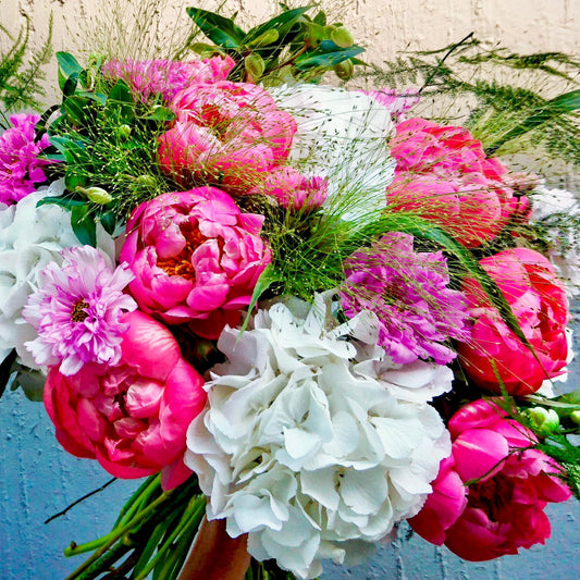 Hydrangeas and priniest in May
